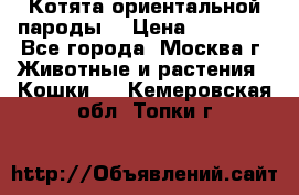 Котята ориентальной пароды  › Цена ­ 12 000 - Все города, Москва г. Животные и растения » Кошки   . Кемеровская обл.,Топки г.